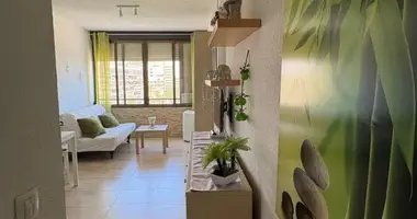 Mieszkanie 1 pokój w Torrevieja, Hiszpania