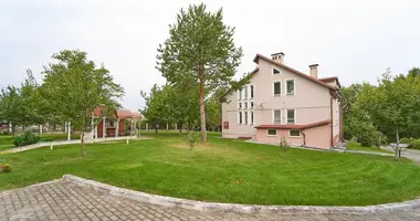 Cottage in Krupica, Belarus