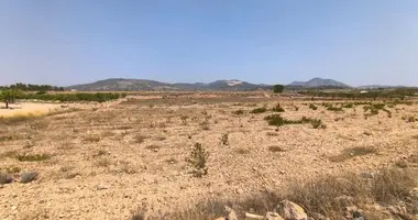 Apartment in el Pinos Pinoso, Spain