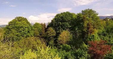 Дом в Кобулети, Грузия