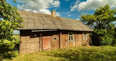 Dom w Ogrodniki, Litwa