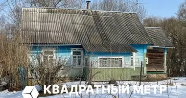 Dom w Dziamidavicki sielski Saviet, Białoruś