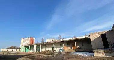 Nieruchomości komercyjne 4 pokoi w rejon orszański, Białoruś