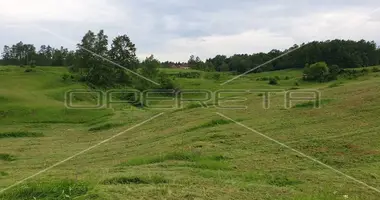 Grundstück in Opcina Krnjak, Kroatien