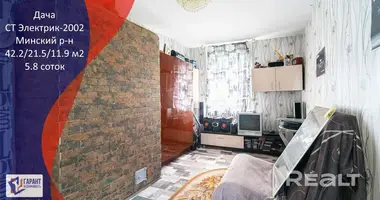 Haus in Piatryskauski sielski Saviet, Belarus