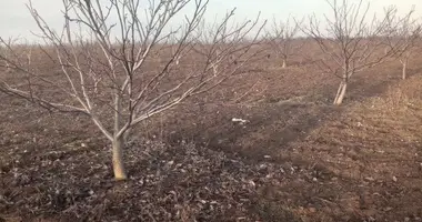 Propiedad comercial 200 000 m² en Mykolaiv Raion, Ucrania