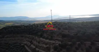 Plot of land in Novosele, Albania