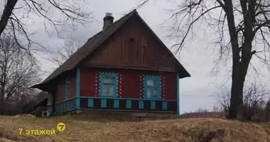Haus in Vialikaje Sialo, Belarus