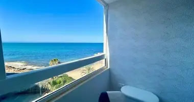 1 bedroom apartment in Torrevieja, Spain