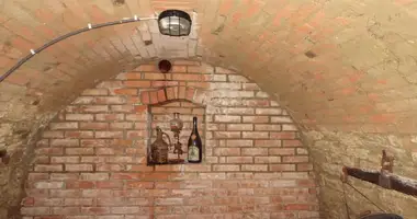 Propiedad comercial 73 m² en Bogenneusiedl, Austria