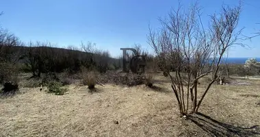 Terrain dans Pecurice, Monténégro