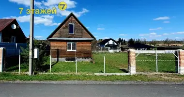 Dom w Chaciezynski sielski Saviet, Białoruś