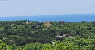 Propiedad comercial en Montenegro