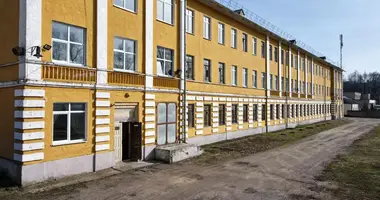 Propiedad comercial 120 m² en Stankava, Belarús