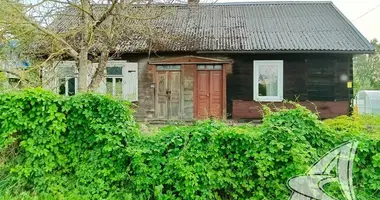 Apartment in Rakitnica, Belarus