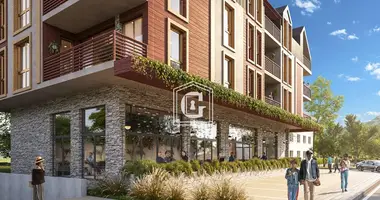 3 bedroom apartment in Kolasin, Montenegro