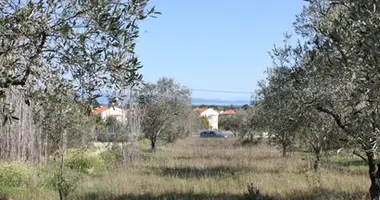 Terrain dans Municipality of Sithonia, Grèce
