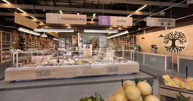 Boutique 1 595 m² dans Catalogne, Espagne