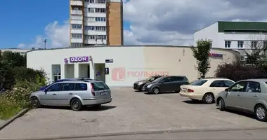 Warehouse 19 m² in Minsk, Belarus