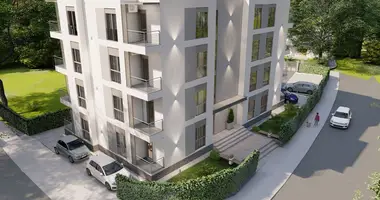 Apartamento 1 habitacion en Podgorica, Montenegro