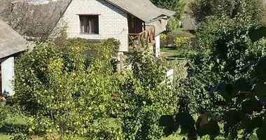 Maison 2 chambres dans Viazynka, Bélarus