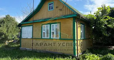 House in Matykalski sielski Saviet, Belarus