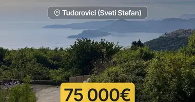Участок земли в Будва, Черногория