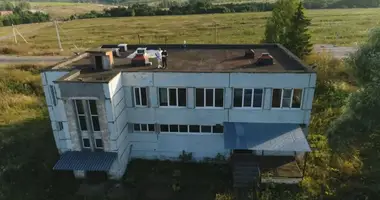 Entrepôt 19 000 m² dans Kargasino, Russie