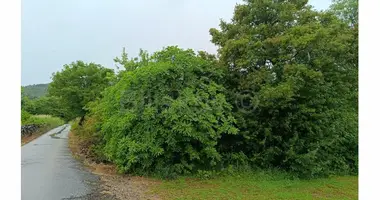 Działka w Opcina Hrvace, Chorwacja