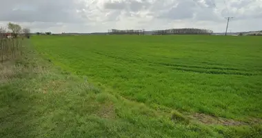 Dom w Śmigiel, Polska