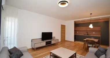 2 bedroom apartment in Podgorica, Montenegro