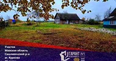Plot of land in Kurkava, Belarus