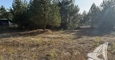 Grundstück in Zabinkauski sielski Saviet, Belarus