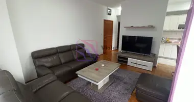 2 bedroom apartment in Podgorica, Montenegro
