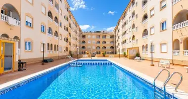 Apartment in Torrevieja, Spain