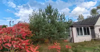 Haus in Turynski sielski Saviet, Belarus