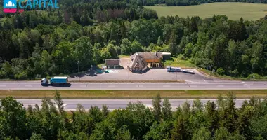Gewerbefläche 419 m² in Raseinen, Litauen