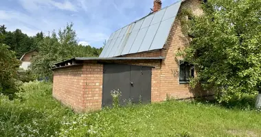 Dom w Nieharelski sielski Saviet, Białoruś