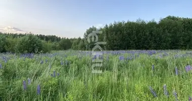 Terrain dans Dudenevo, Russie