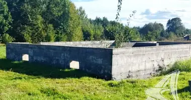 Участок земли в Малые Радваничи, Беларусь