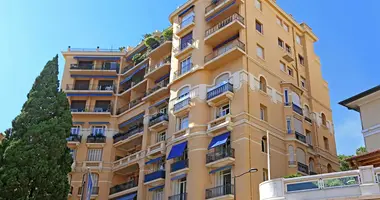 3 bedroom apartment in Monaco