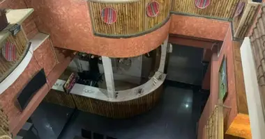 Nieruchomości komercyjne 300 m² w Tbilisi, Gruzja