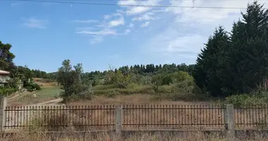 Grundstück in Kassandreia, Griechenland