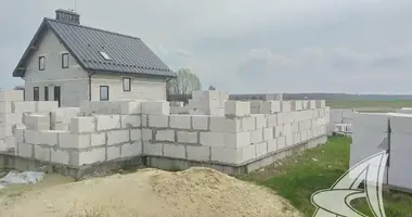 Terrain dans Rakitnicki sielski Saviet, Bélarus