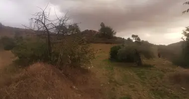 Plot of land in Pyrgos Lemesou, Cyprus