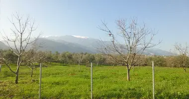 Działka w Dion Olympos Municipality, Grecja
