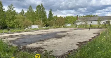 Grundstück in Alahnovicy, Belarus