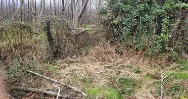 Terrain dans Kobuleti, Géorgie