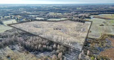 Działka w Bołkuny, Litwa