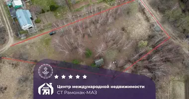 Участок земли в Красненский сельский Совет, Беларусь